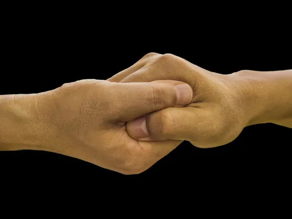 ΡιτςΠαλμς Καζίνο Υποστηριξη